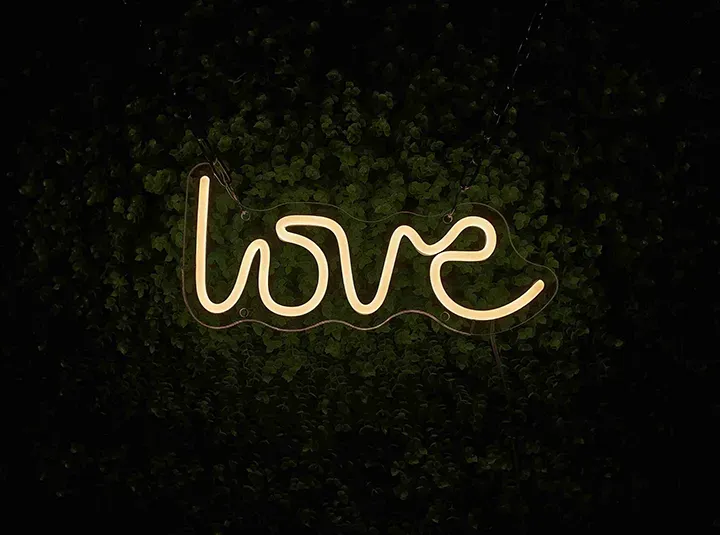 love - Insegne al neon a LED