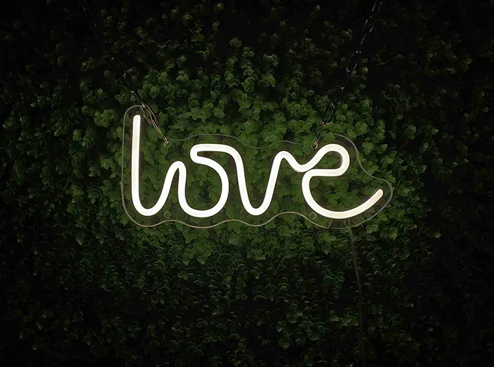 love - Insegne al neon a LED