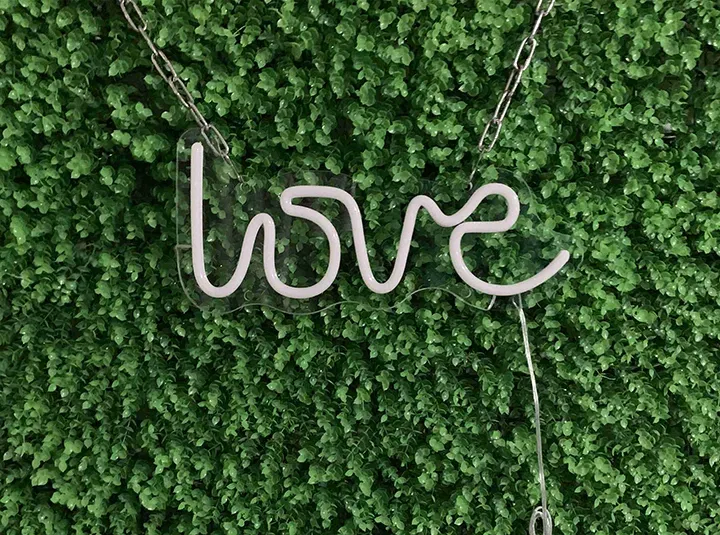 love - Insegne al neon a LED