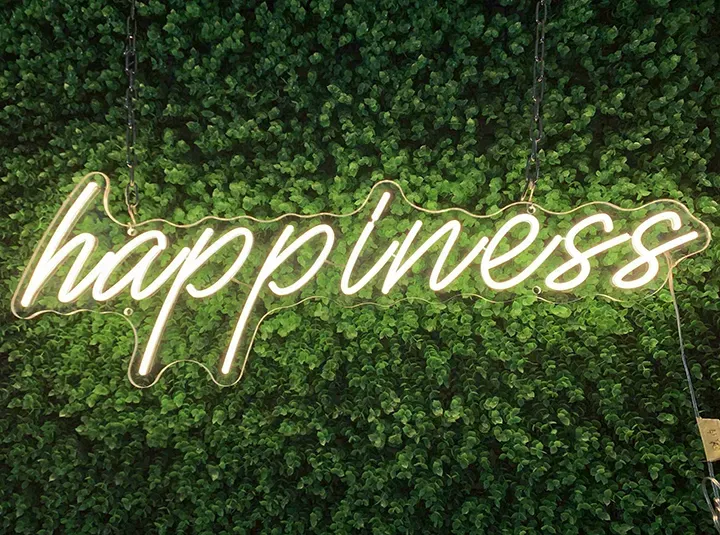 Happiness - Insegne al neon a LED