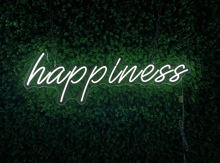 Happiness - Insegne al neon a LED