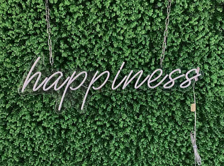 Happiness - Insegne al neon a LED