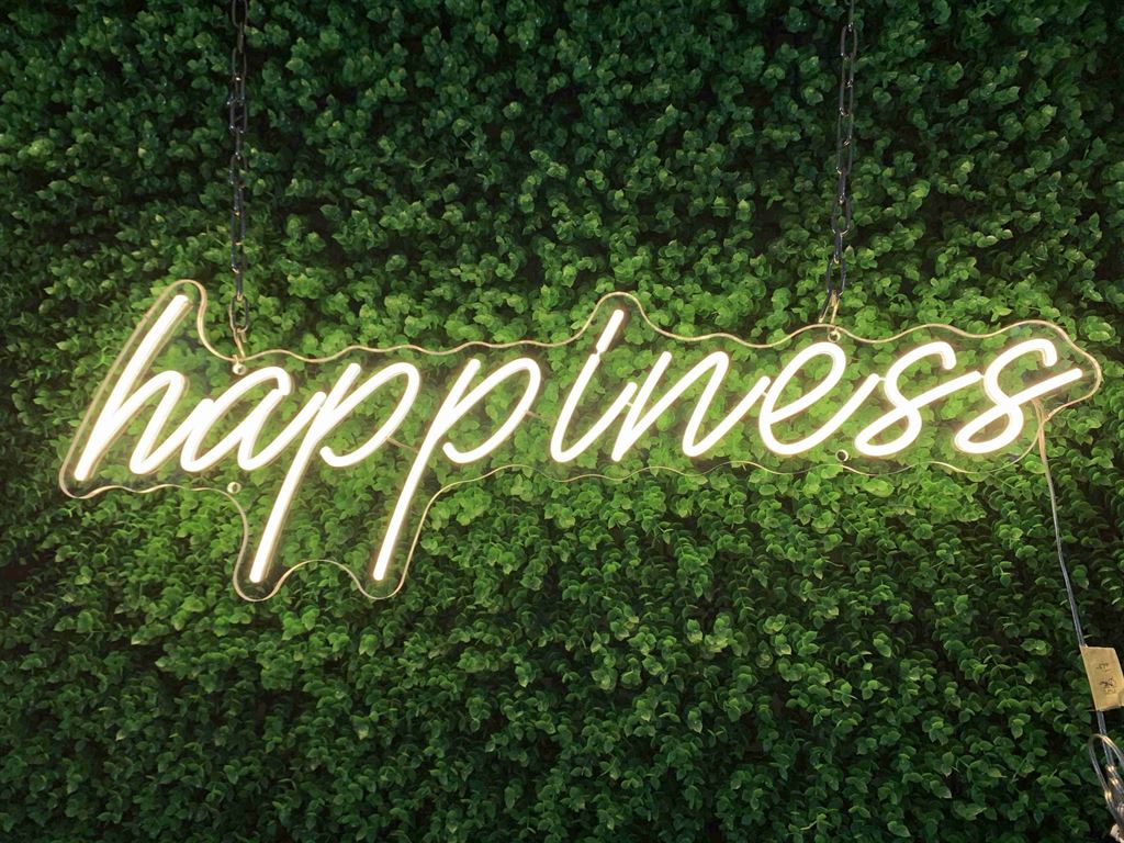 happiness - Semn Luminos LED Neon de Inchiriat
